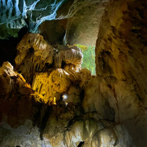 Hang Thanh Vân 1 10 2