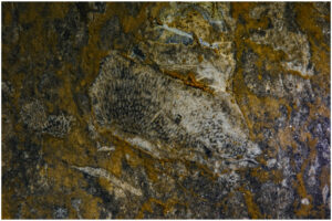 Hang Thanh Vân 7 7 2