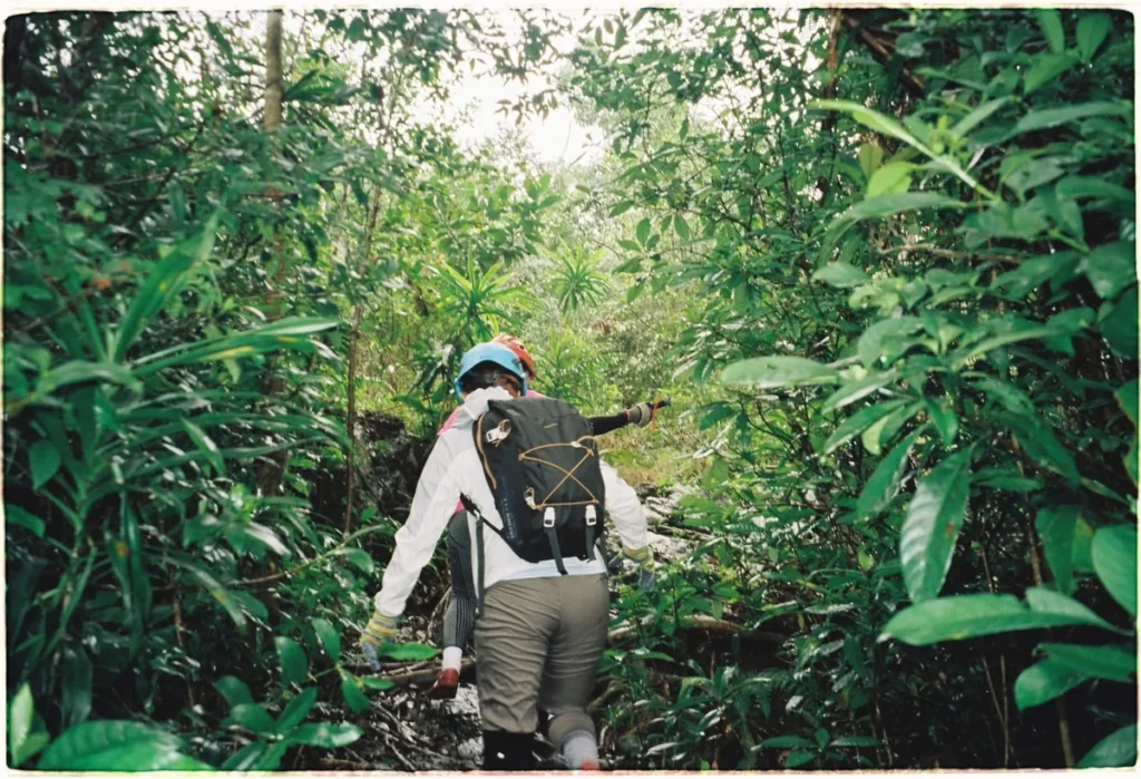 Tour guide leading group through primary forest to E Cave, Phong Nha
