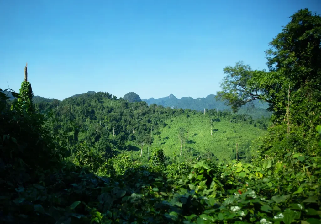 Abandoned Valley (Thung Lung Sinh Ton) primary forest and limestone karst mountains, Phong Nha Ke Bang National Park