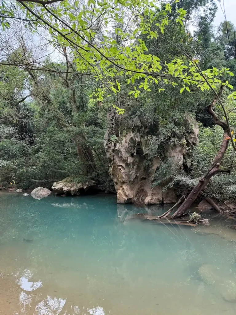 Tre Stream (Suoi Tre) with turquoise water flowing through Abandoned Valley, Phong Nha Ke Bang National Park