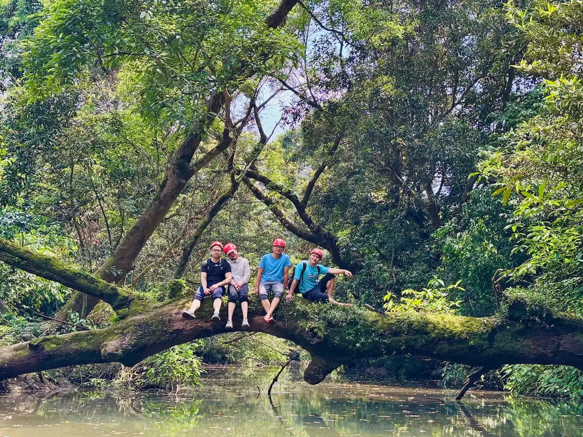 Tour 2 Ngày 1 Đêm Phong Nha: Nên Chọn Cắm Trại Hang E hay Khám Phá 3 Hang? 5 Đoàn khách trekking qua rừng nguyên sinh Thung Lũng Sinh Tồn, Phong Nha